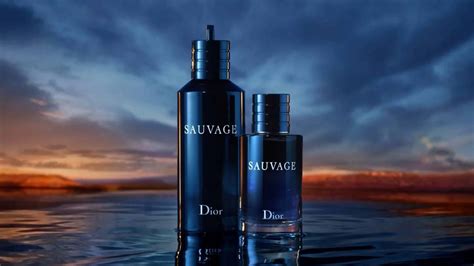 dior water perfume|Dior perfume near me.